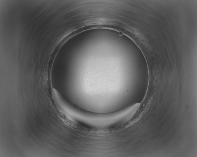 X0000084021073200702232225