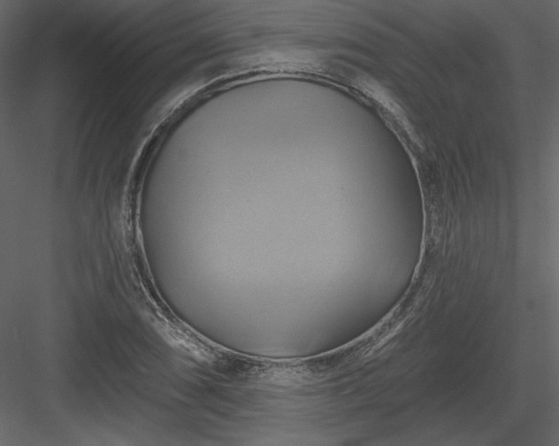 X0000084021074200702232225