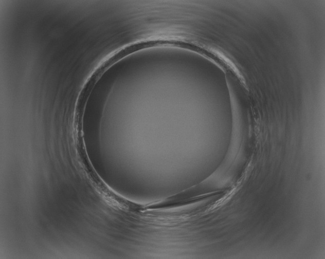 X0000084021077200702232225