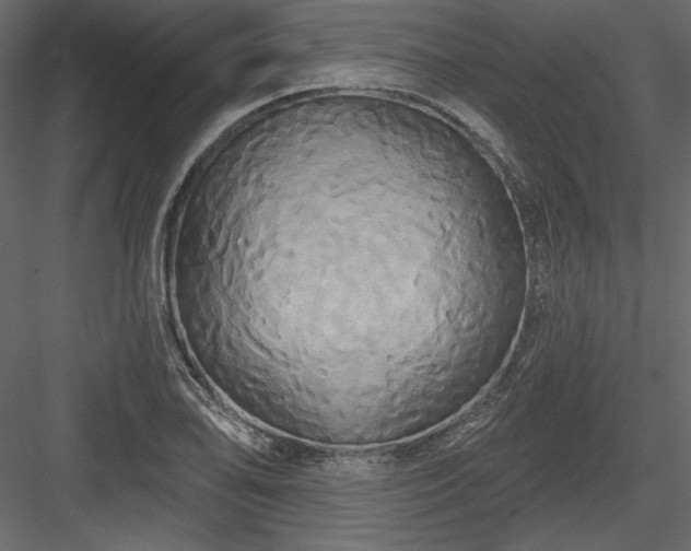 X0000084021078200702232225