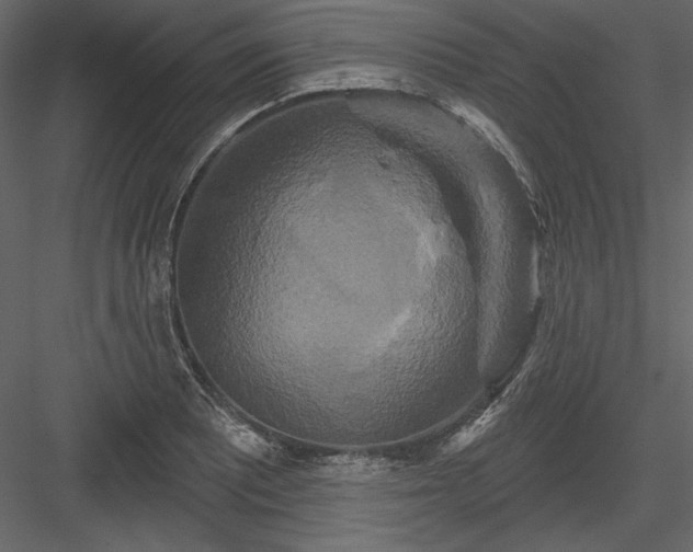 X0000084021081200702232225