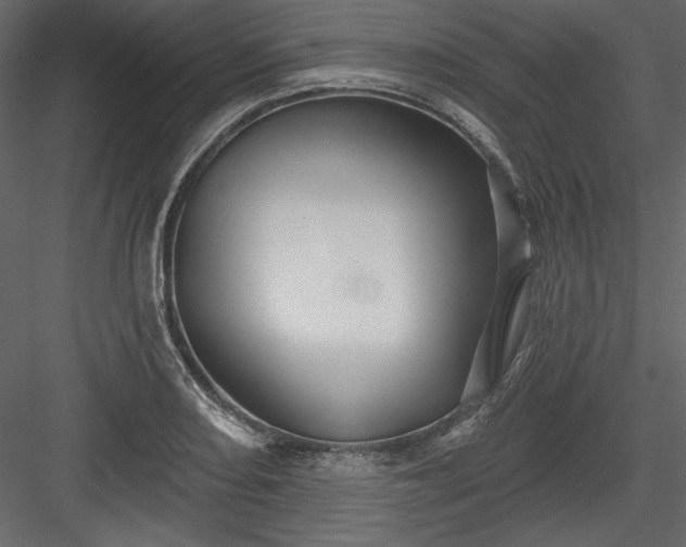 X0000084021082200702232225