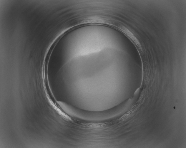 X0000084021084200702232225
