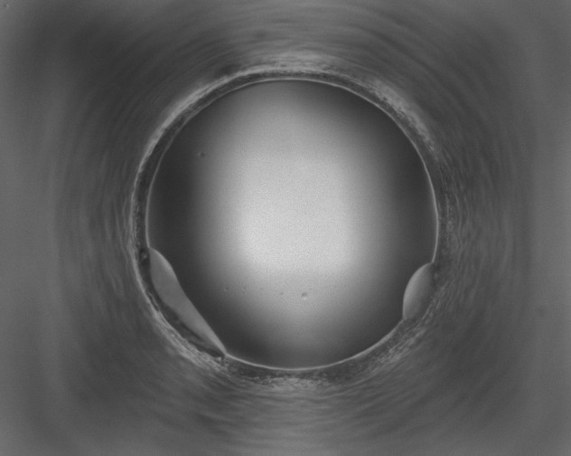 X0000084021085200702232225