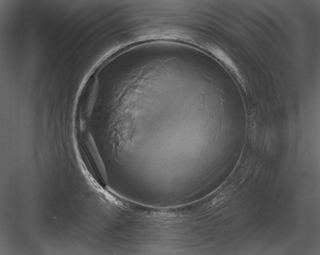 X0000084021088200702232225