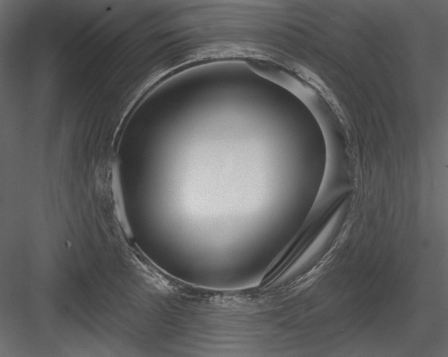X0000084021089200702232225
