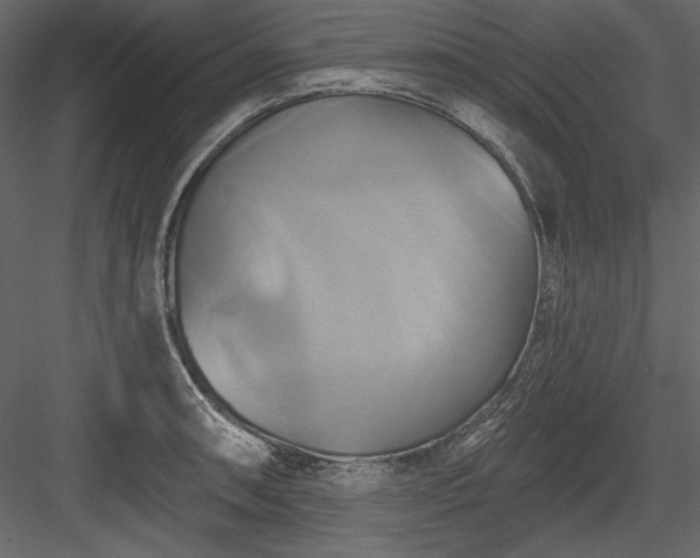X0000084021090200702232225