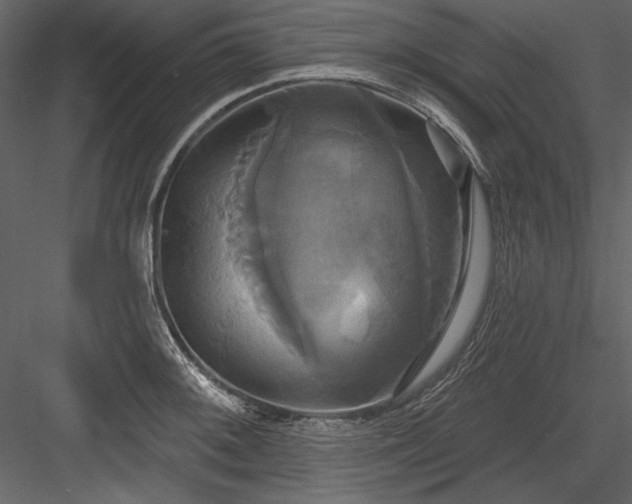 X0000084021092200702232225
