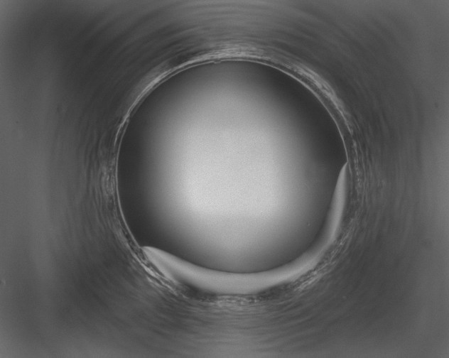 X0000084021097200702232225