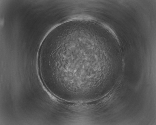 X0000084021103200702232225