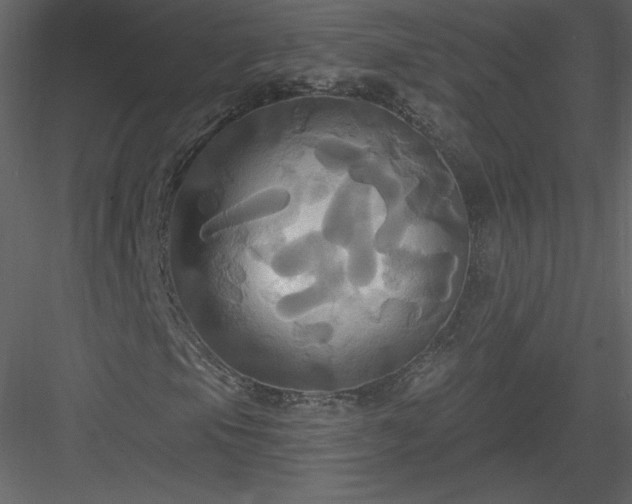 X0000084021105200702232224