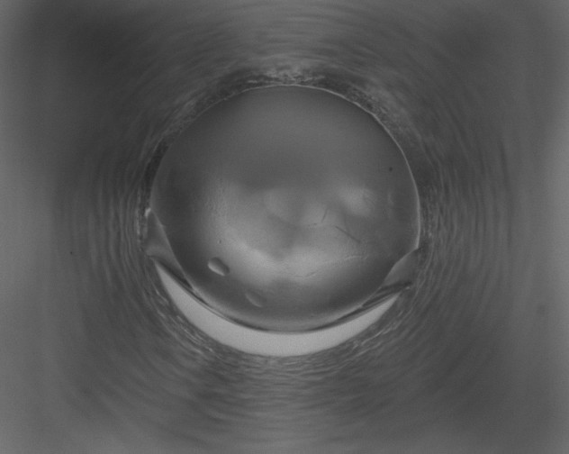 X0000084021106200702232224