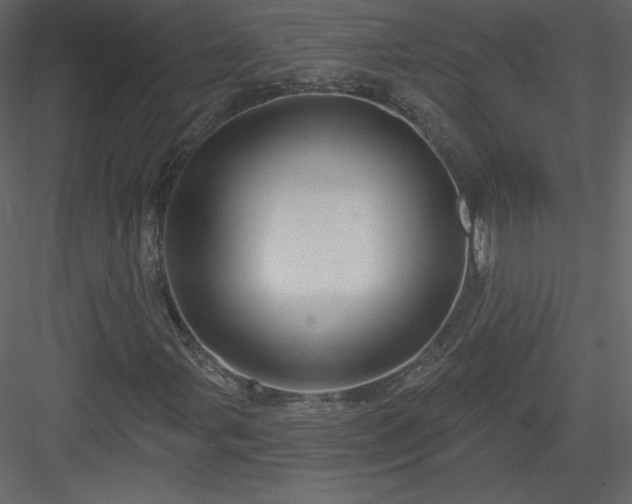 X0000084021107200702232224