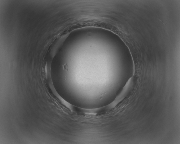 X0000084021109200702232224