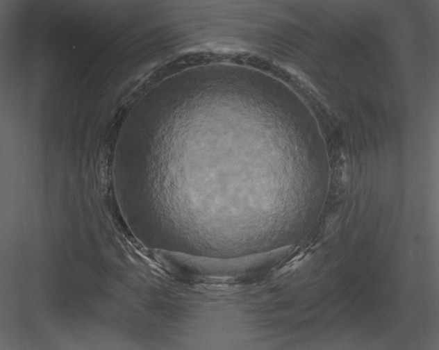 X0000084021110200702232224