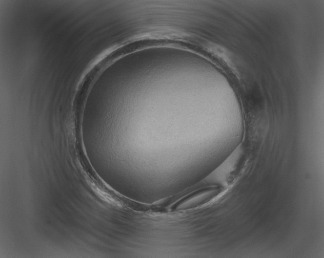 X0000084021114200702232224