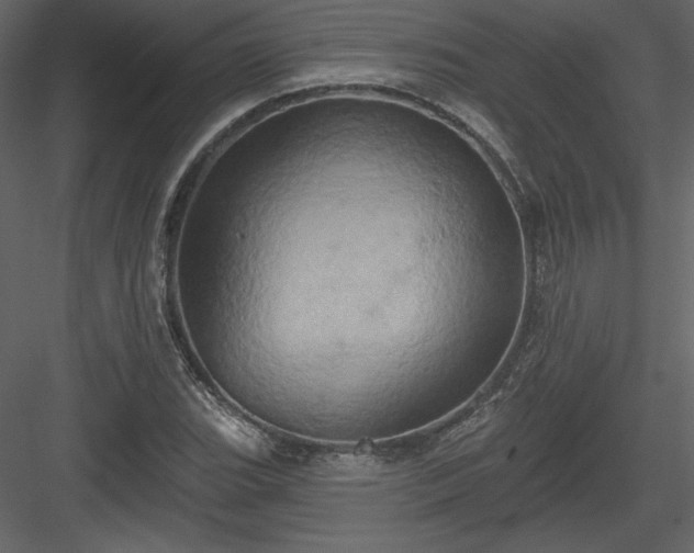 X0000084021119200702232224