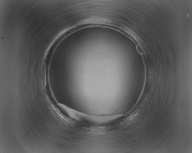 X0000084021123200702232224