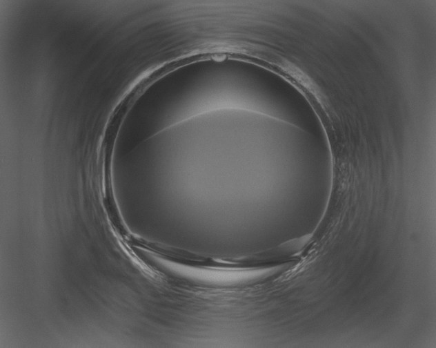 X0000084021127200702232224