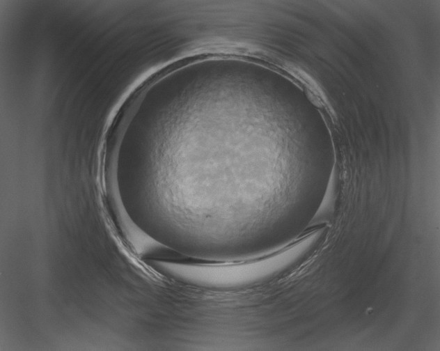 X0000084021128200702232224