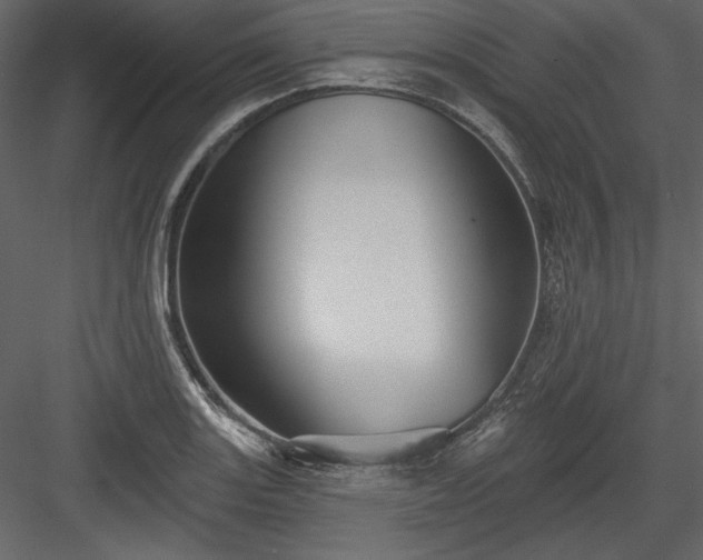 X0000084021131200702232224