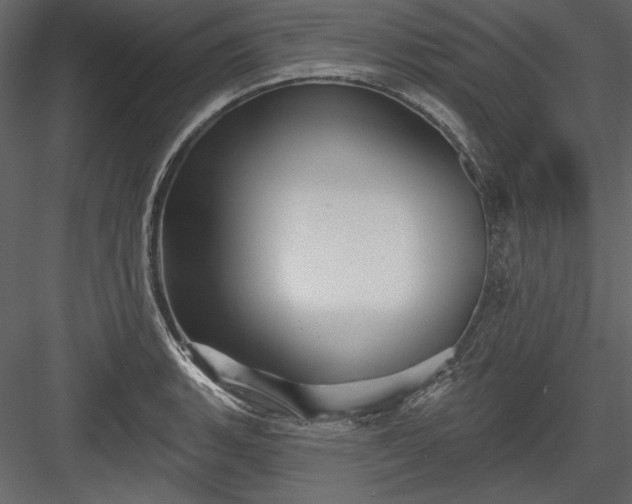 X0000084021135200702232225