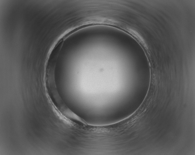 X0000084021136200702232225