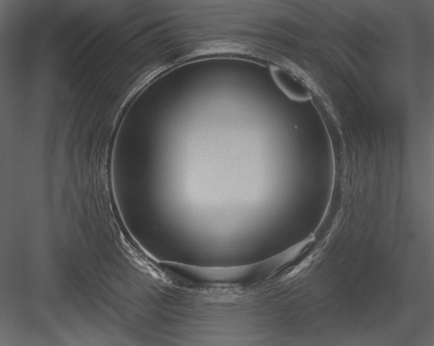 X0000084021137200702232225