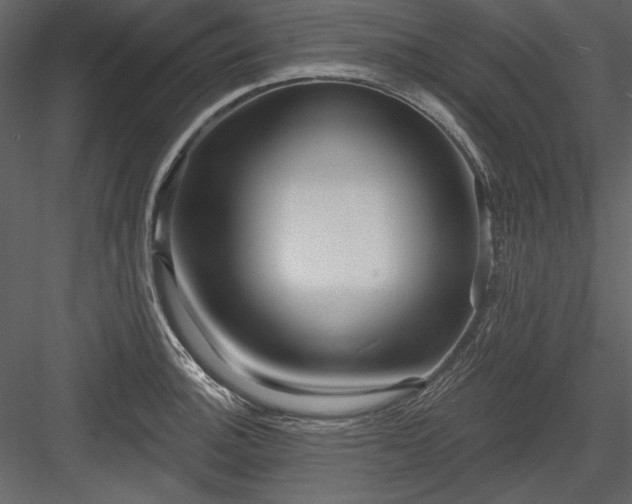 X0000084021140200702232225