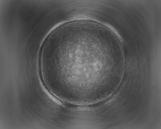 X0000084021142200702232225