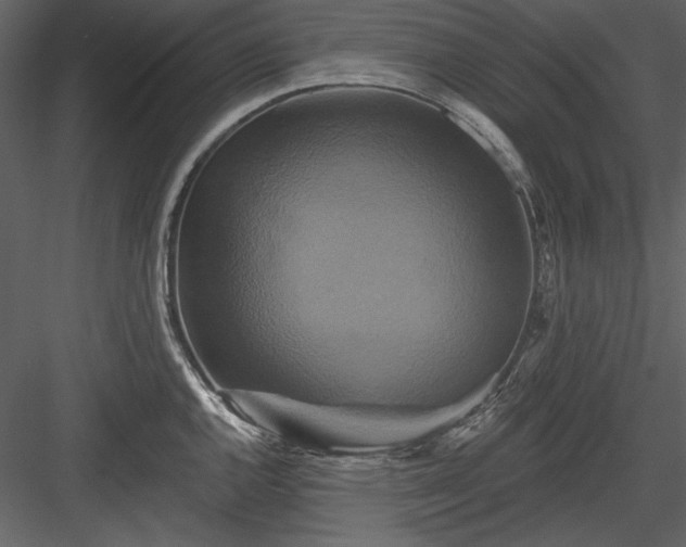 X0000084021144200702232225