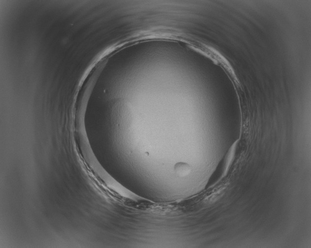 X0000084021146200702232225