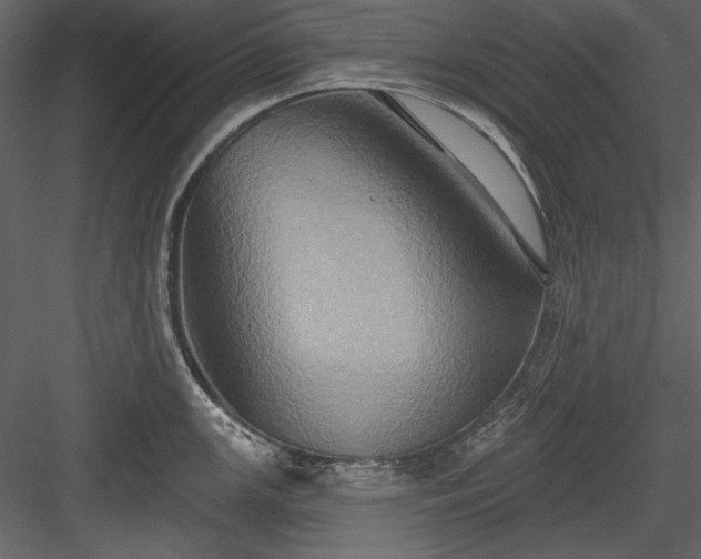 X0000084021147200702232225