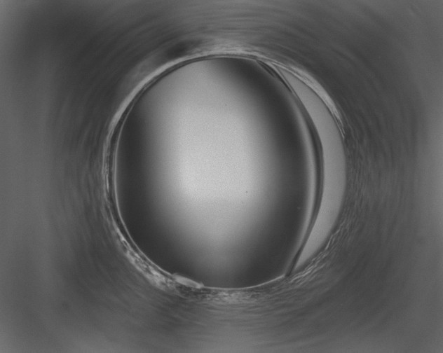 X0000084021148200702232225