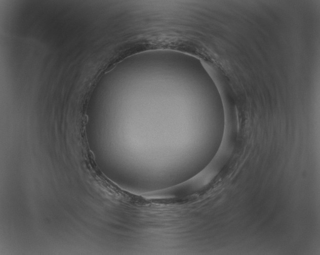 X0000084021153200702232224