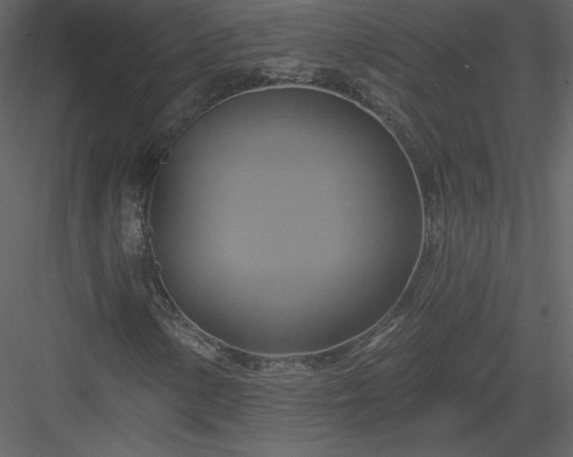 X0000084021154200702232224