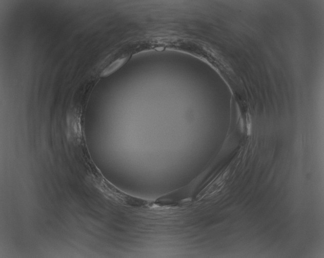 X0000084021155200702232224