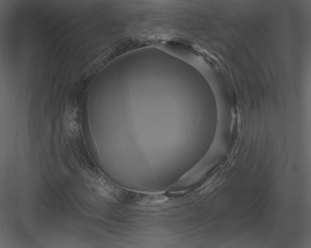 X0000084021156200702232224