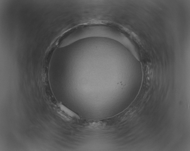 X0000084021160200702232224