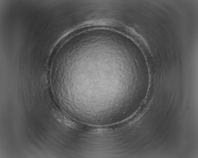 X0000084021166200702232224