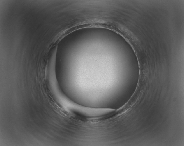 X0000084021169200702232224