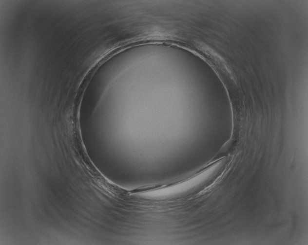 X0000084021170200702232224