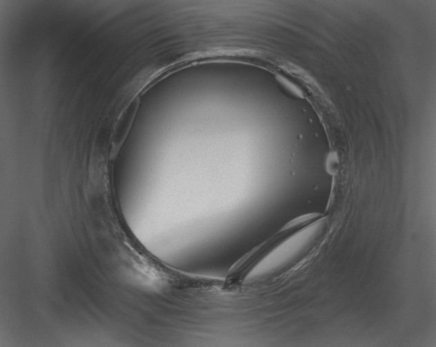 X0000084021177200702232224