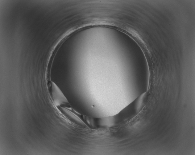 X0000084021181200702232224