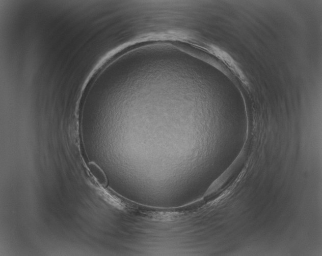 X0000084021184200702232223