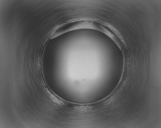 X0000084021185200702232223