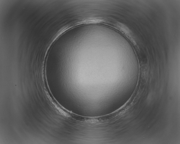 X0000084021186200702232223