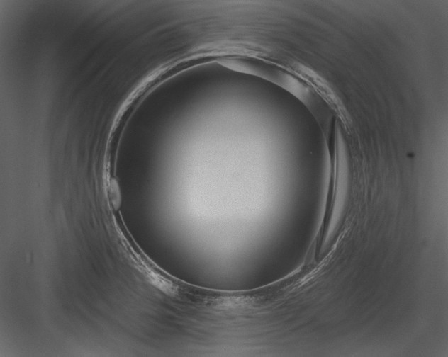 X0000084021188200702232223