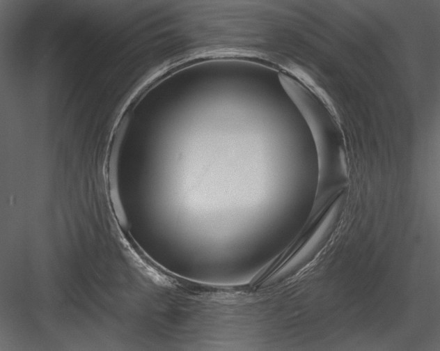 X0000084021189200702232223
