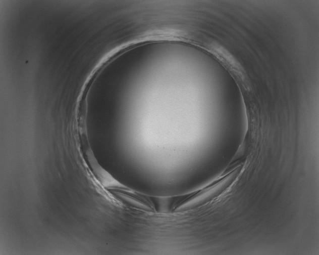 X0000084021192200702232223